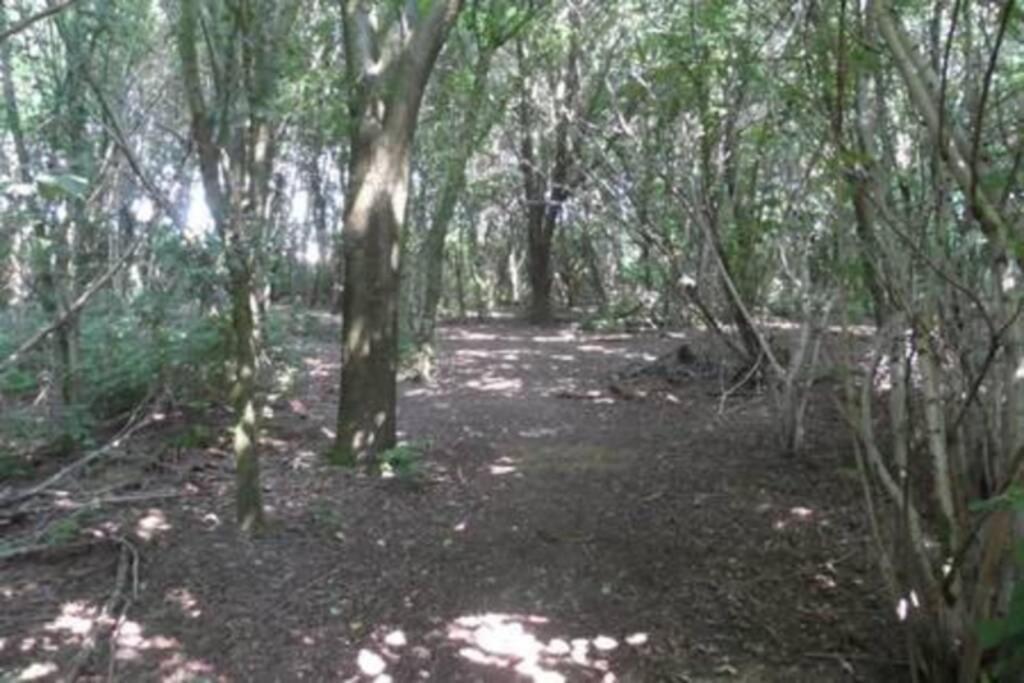 Vakantiehuis Horsterwold Zeewolde Bagian luar foto